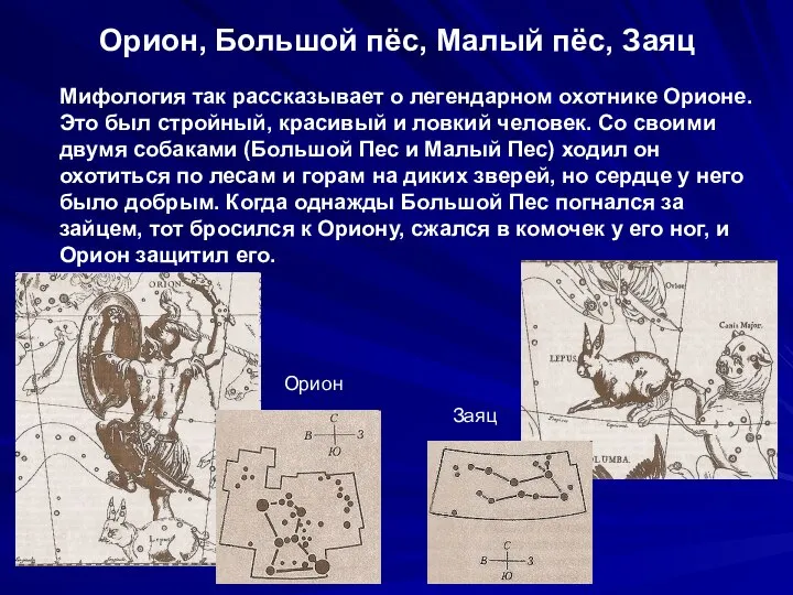 Орион, Большой пёс, Малый пёс, Заяц Мифология так рассказывает о легендарном