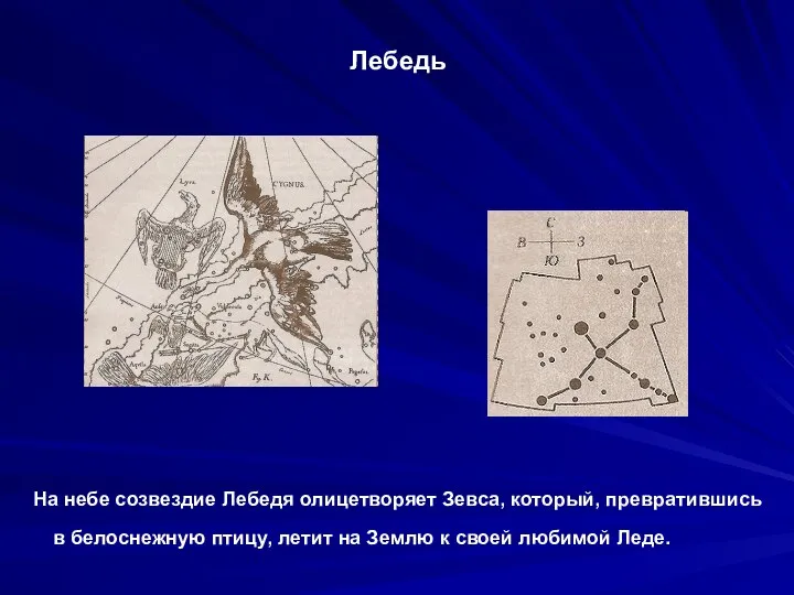 Лебедь На небе созвездие Лебедя олицетворяет Зевса, который, превратившись в белоснежную