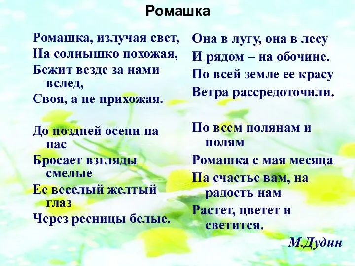 Ромашка Ромашка, излучая свет, На солнышко похожая, Бежит везде за нами