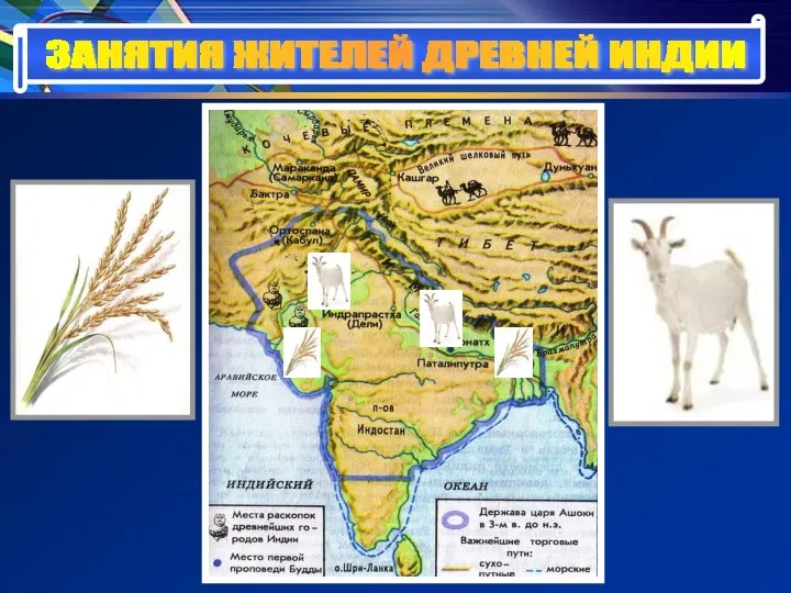 ЗАНЯТИЯ ЖИТЕЛЕЙ ДРЕВНЕЙ ИНДИИ