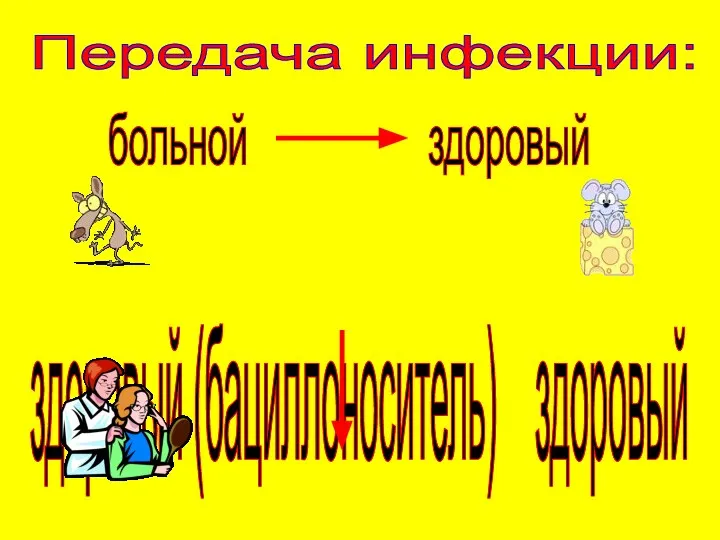 Передача инфекции: больной здоровый здоровый (бациллоноситель) здоровый