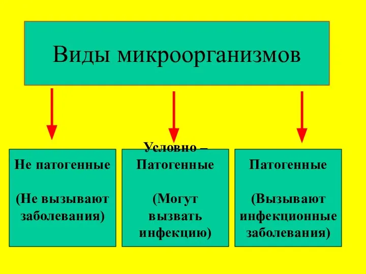 Виды микроорганизмов Не патогенные (Не вызывают заболевания) Условно – Патогенные (Могут