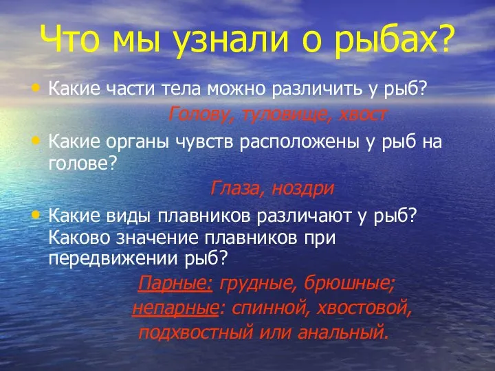 Что мы узнали о рыбах? Какие части тела можно различить у