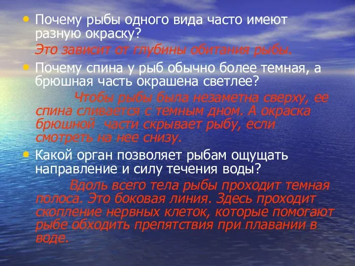 Почему рыбы одного вида часто имеют разную окраску? Это зависит от