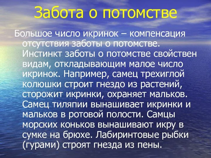 Забота о потомстве Большое число икринок – компенсация отсутствия заботы о