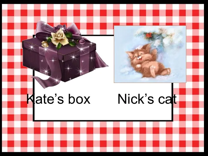 Kate’s box Nick’s cat