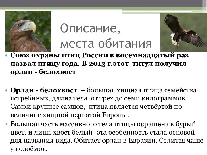 Описание, места обитания Союз охраны птиц России в восемнадцатый раз назвал
