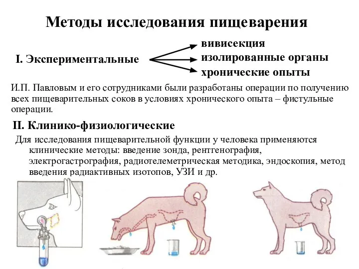 Методы исследования пищеварения Для исследования пищеварительной функции у человека применяются клинические