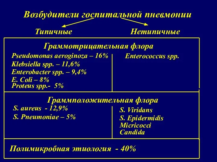 Возбудители госпитальной пневмонии Граммотрицательная флора Pseudomonas aeroginoza – 16% Klebsiella spp.