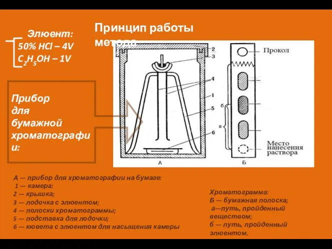 А — прибор для хроматографии на бумаге: 1 — камера: 2