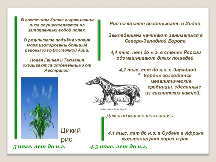 5 тыс. лет до н.э. 4,5 тыс. лет до н.э. В