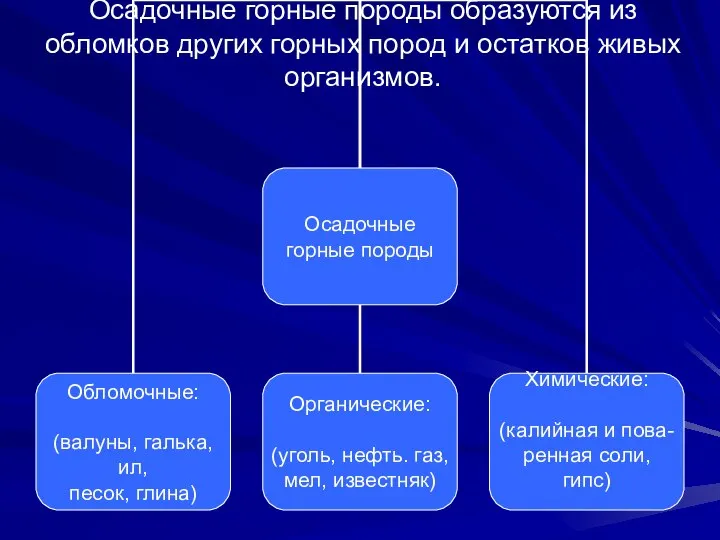 Осадочные горные породы образуются из обломков других горных пород и остатков живых организмов.