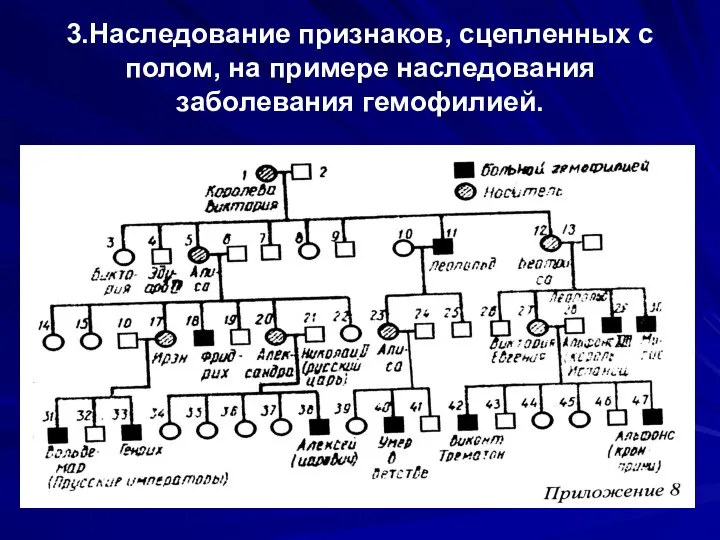 3.Наследование признаков, сцепленных с полом, на примере наследования заболевания гемофилией.