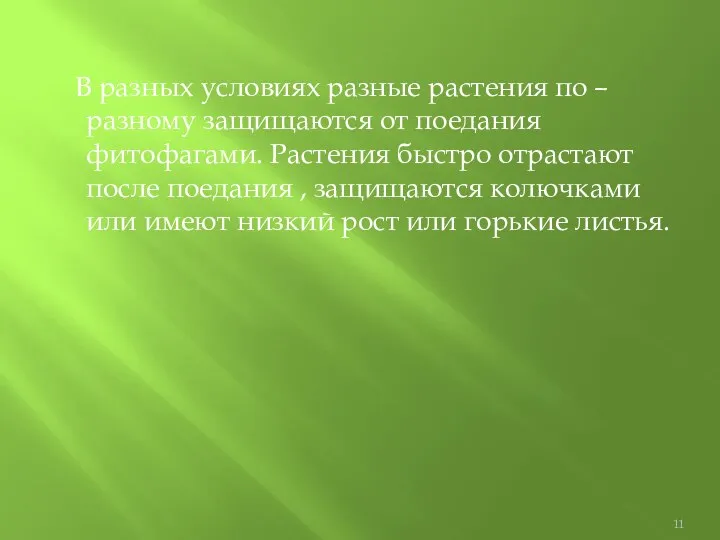 В разных условиях разные растения по – разному защищаются от поедания