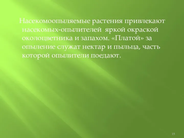 Насекомоопыляемые растения привлекают насекомых-опылителей яркой окраской околоцветника и запахом. «Платой» за