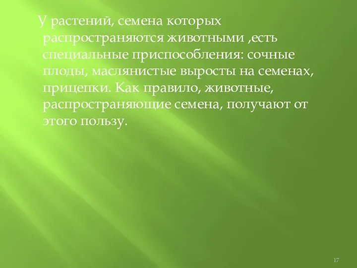 У растений, семена которых распространяются животными ,есть специальные приспособления: сочные плоды,