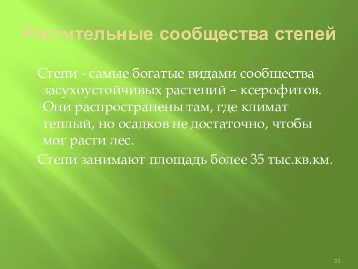 Растительные сообщества степей Степи - самые богатые видами сообщества засухоустойчивых растений