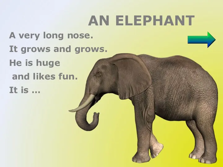 AN ELEPHANT A very long nose. It grows and grows. Не