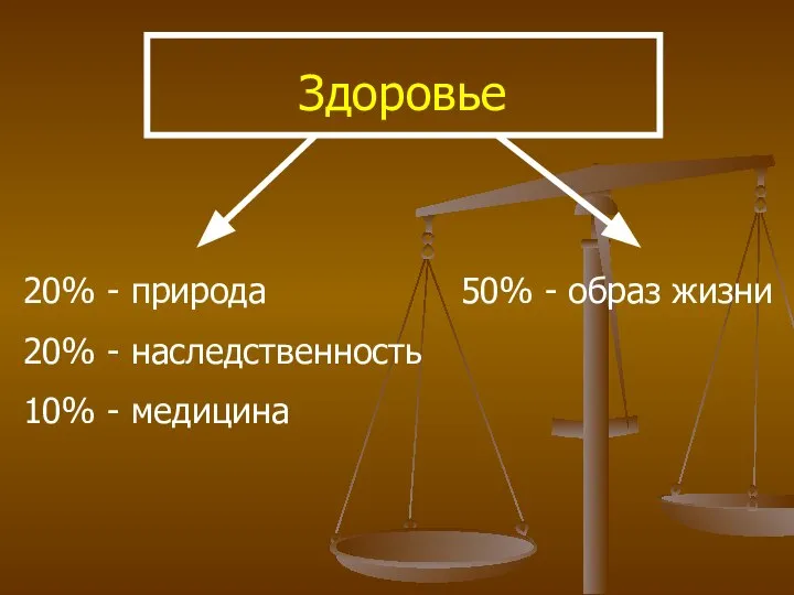 Здоровье 20% - природа 20% - наследственность 10% - медицина 50% - образ жизни