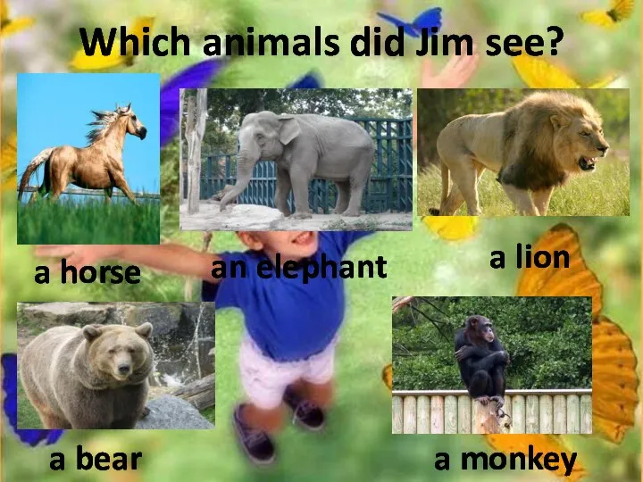 Which animals did Jim see? a horse an elephant a lion a bear a monkey