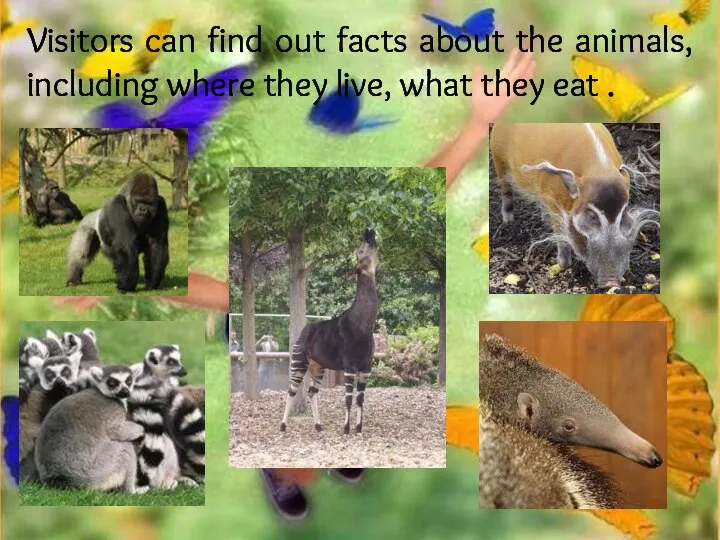 Visitors can find out facts about the animals, including where they live, what they eat .
