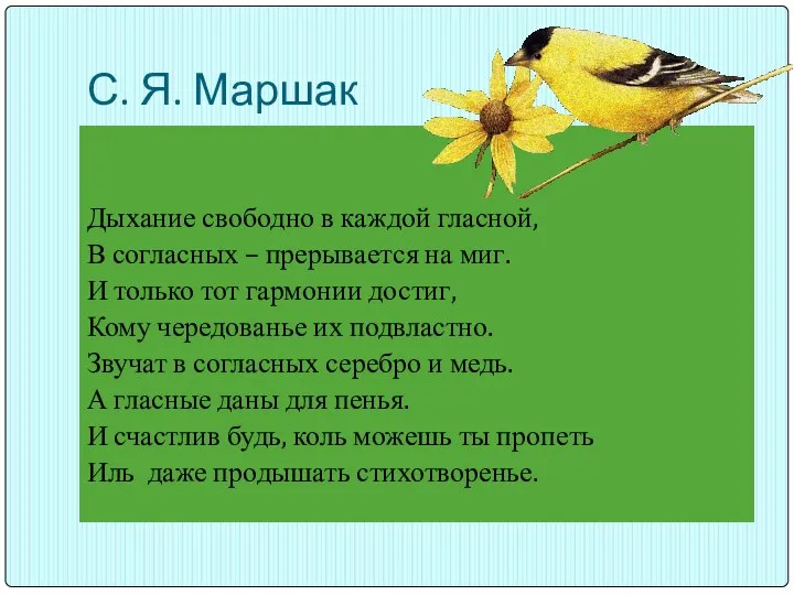 С. Я. Маршак Дыхание свободно в каждой гласной, В согласных –