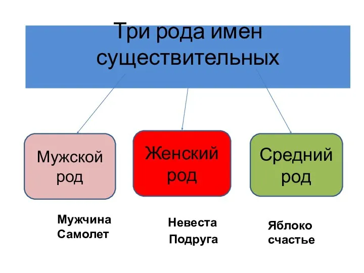 Три рода имен существительных Мужской род Женский род Средний род Мужчина Самолет Невеста Подруга Яблоко счастье