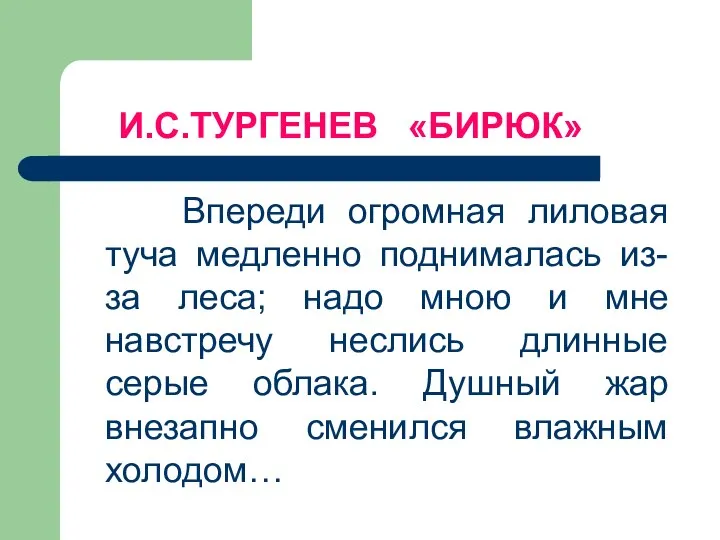 И.С.ТУРГЕНЕВ «БИРЮК» Впереди огромная лиловая туча медленно поднималась из-за леса; надо