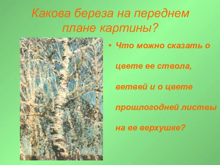 Какова береза на переднем плане картины? Что можно сказать о цвете