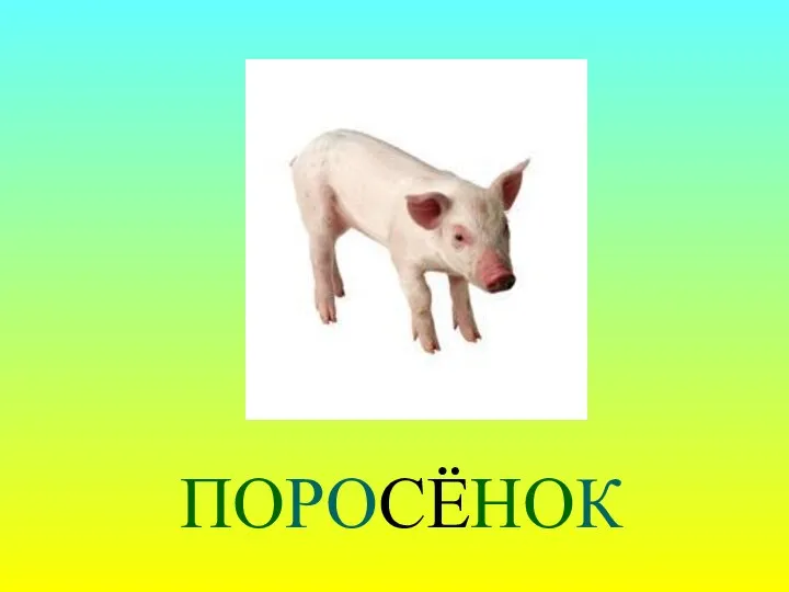 ПОРОСЁНОК