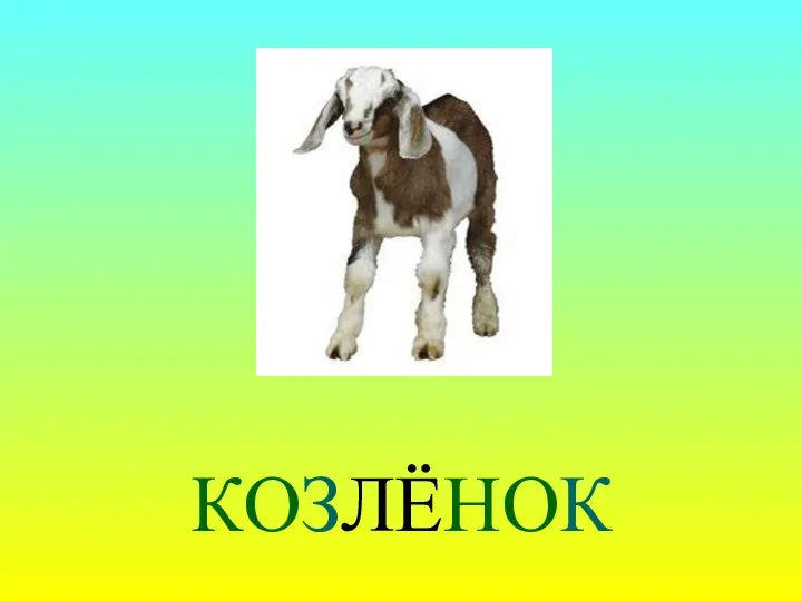 КОЗЛЁНОК