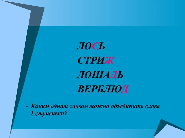 ЛОСЬ СТРИЖ ЛОШАДЬ ВЕРБЛЮД - Каким одним словом можно объединить слова 1 ступеньки?