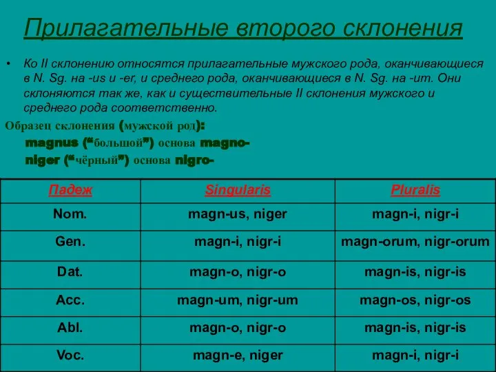 Прилагательные второго склонения Ко II склонению относятся прилагательные мужского рода, оканчивающиеся