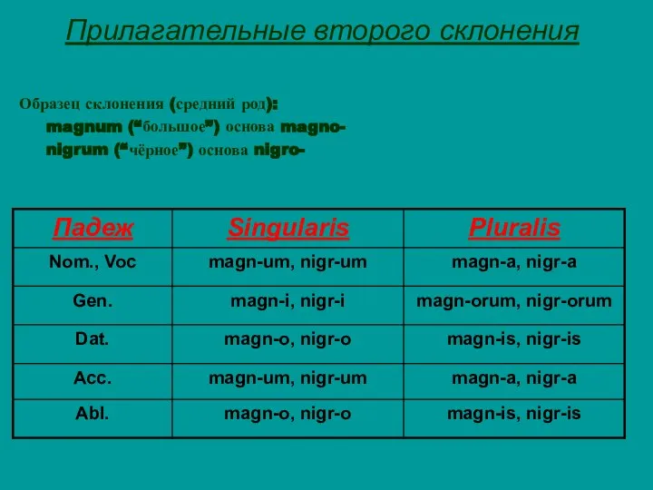 Прилагательные второго склонения Образец склонения (средний род): magnum (“большое”) основа magno- nigrum (“чёрное”) основа nigro-