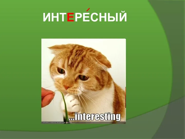 ИНТЕРЕСНЫЙ