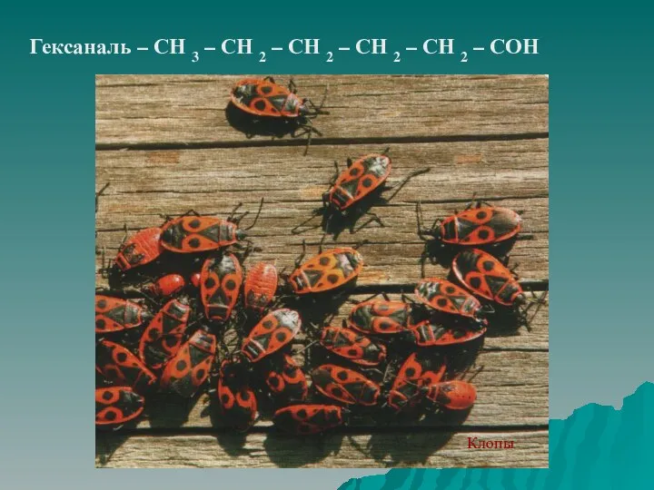 Гексаналь – СН 3 – СН 2 – СН 2 –