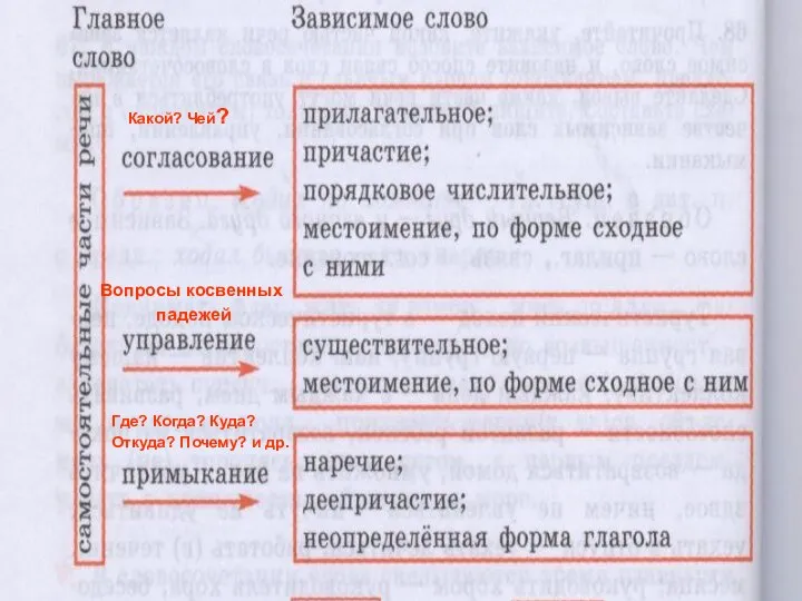 Типы подчинительной связи в словосочетании Какой? Чей? Вопросы косвенных падежей Где?