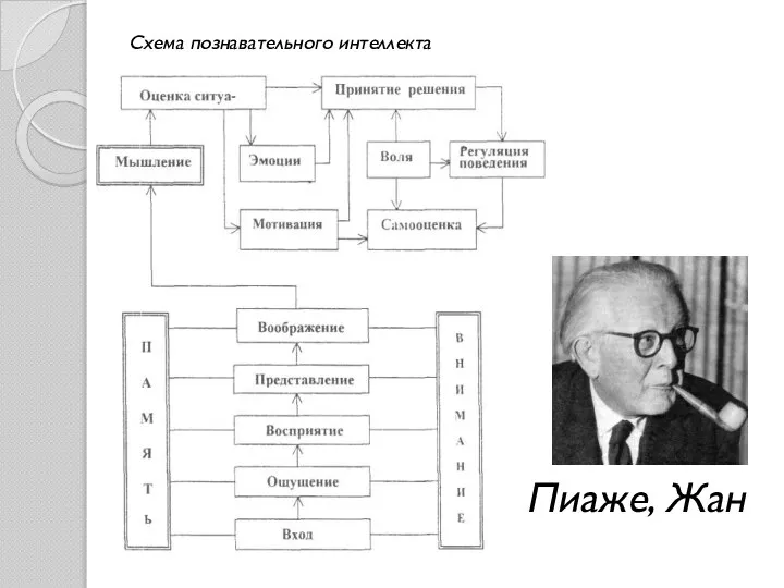 Пиаже, Жан Схема познавательного интеллекта