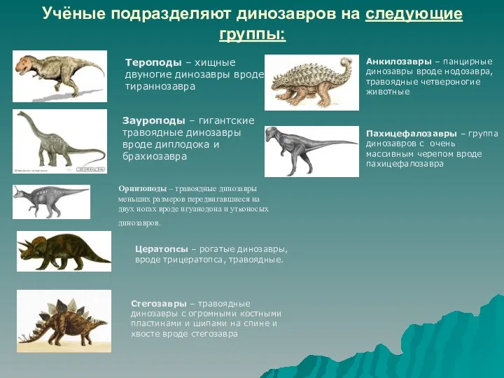 Учёные подразделяют динозавров на следующие группы: Тероподы – хищные двуногие динозавры
