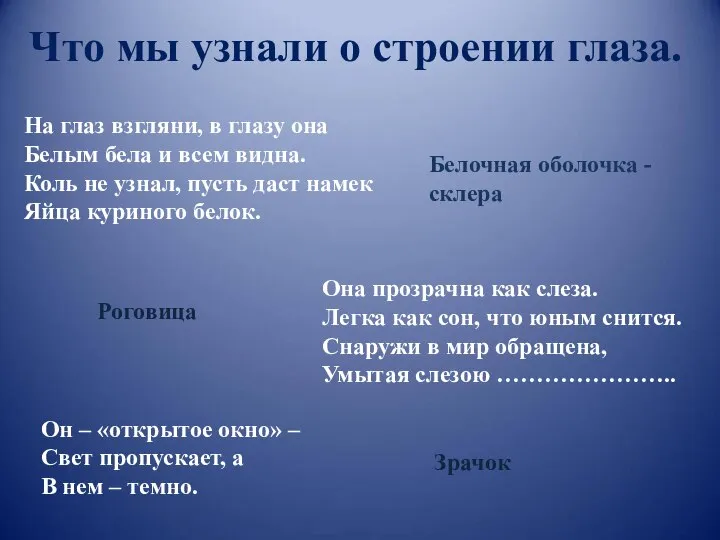 Что мы узнали о строении глаза. На глаз взгляни, в глазу