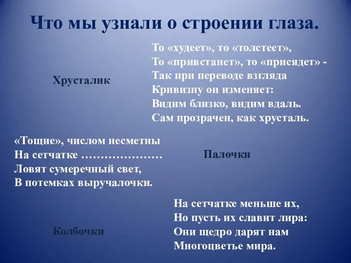 Что мы узнали о строении глаза. То «худеет», то «толстеет», То