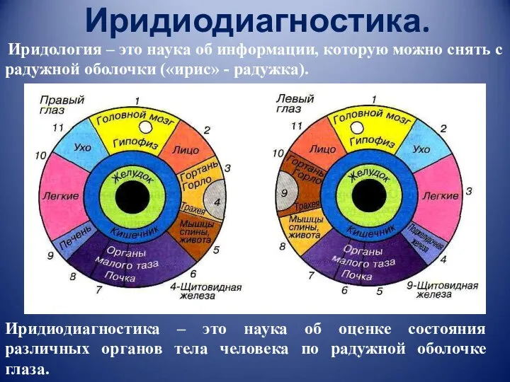 Иридиодиагностика. Иридиодиагностика – это наука об оценке состояния различных органов тела