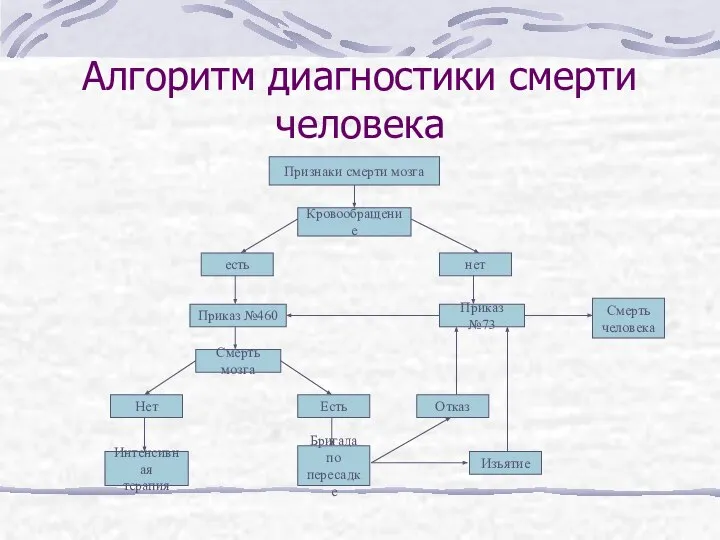 Алгоритм диагностики смерти человека Признаки смерти мозга Кровообращение есть нет Приказ