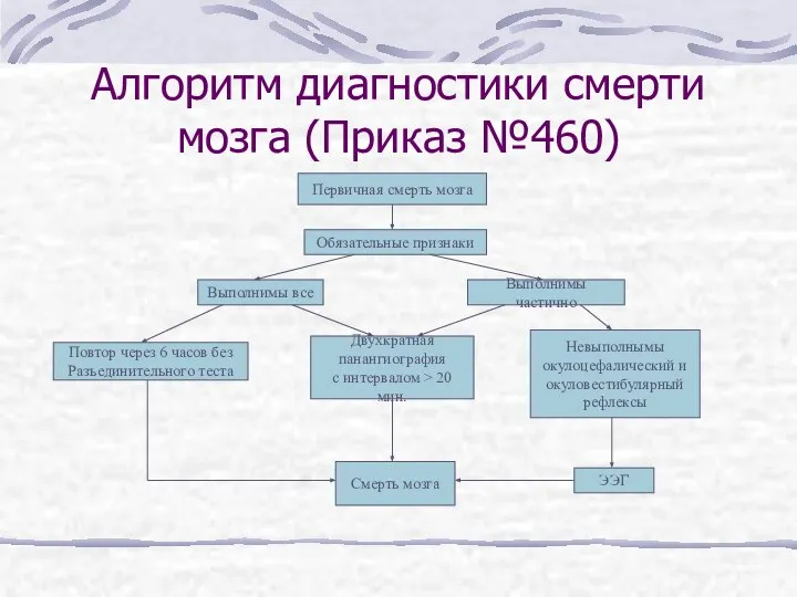 Алгоритм диагностики смерти мозга (Приказ №460) Первичная смерть мозга Обязательные признаки