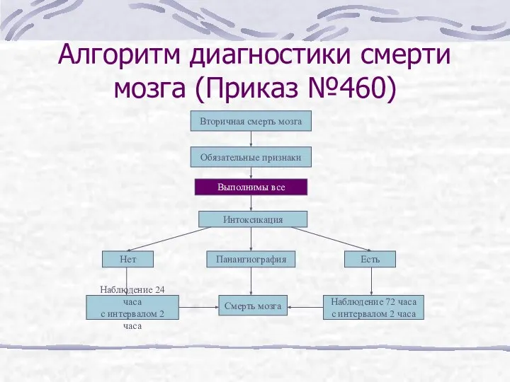 Алгоритм диагностики смерти мозга (Приказ №460) Вторичная смерть мозга Обязательные признаки