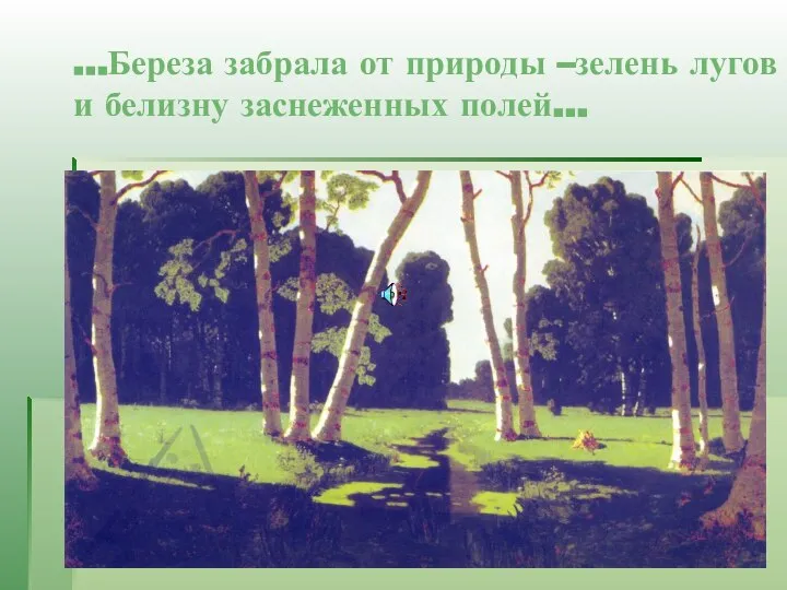 …Береза забрала от природы –зелень лугов и белизну заснеженных полей…