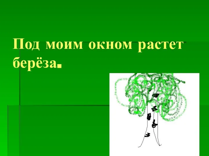 Под моим окном растет берёза.