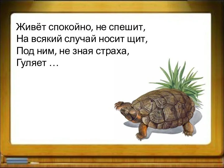 Живёт спокойно, не спешит, На всякий случай носит щит, Под ним, не зная страха, Гуляет …