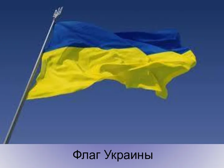 Флаг Украины