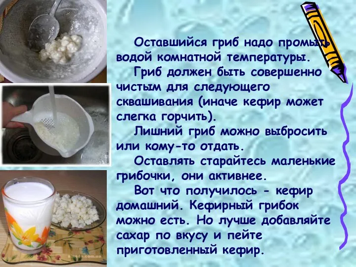 Оставшийся гриб надо промыть водой комнатной температуры. Гриб должен быть совершенно